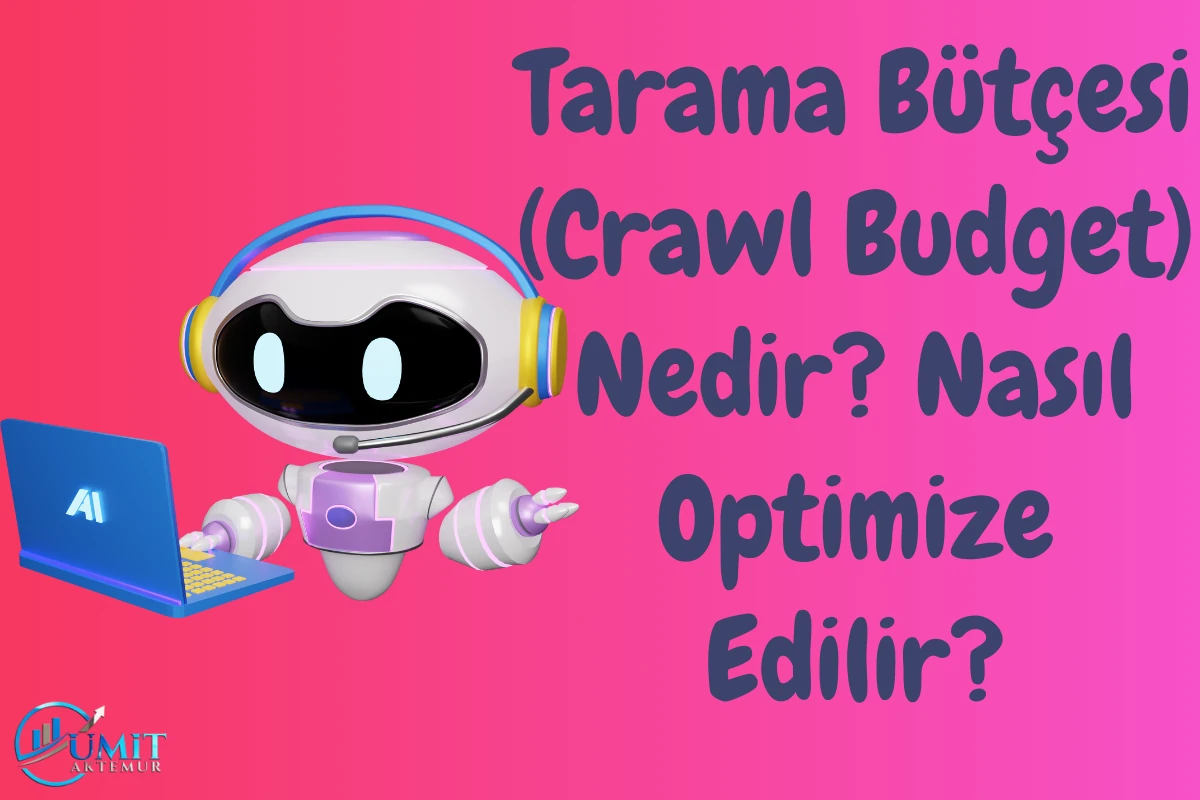 Tarama Butcesi Crawl Budget Nedir Nasil Optimize Edilir